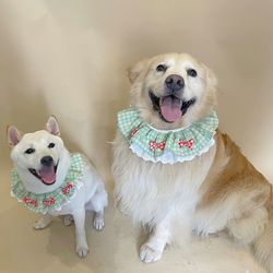 Dog clothes