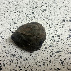 Meteorite Specimen (Likely Ordinary Chondrite)