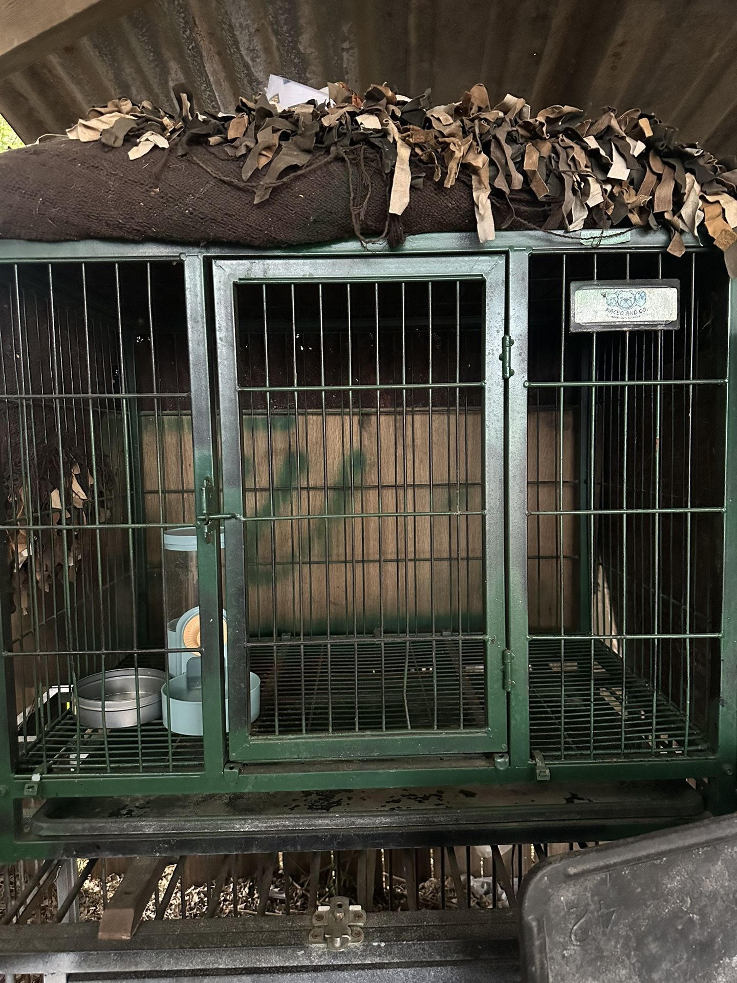 dog cage