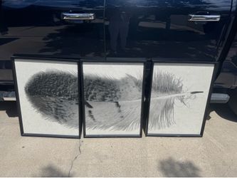 3-piece Feather Wall Art