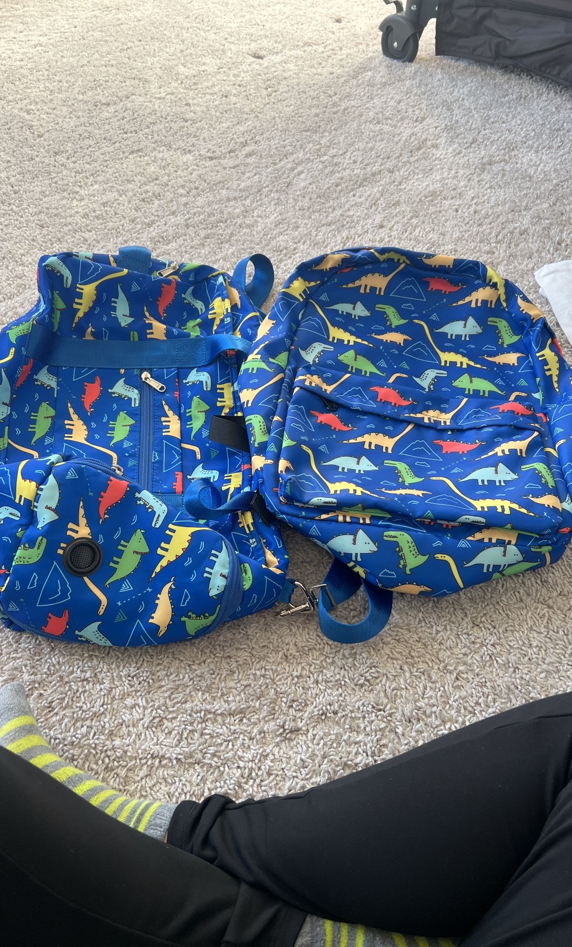 Dinosaur Book Bag And Duffel Bag