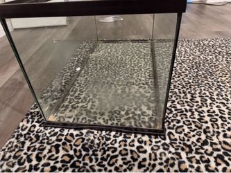 40 gallon reptile tank  (firm on price)