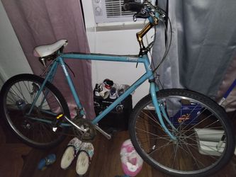 Mountain bike