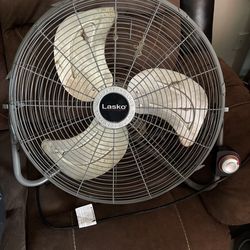 Fan