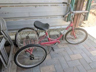 Adult Tricycle Sun