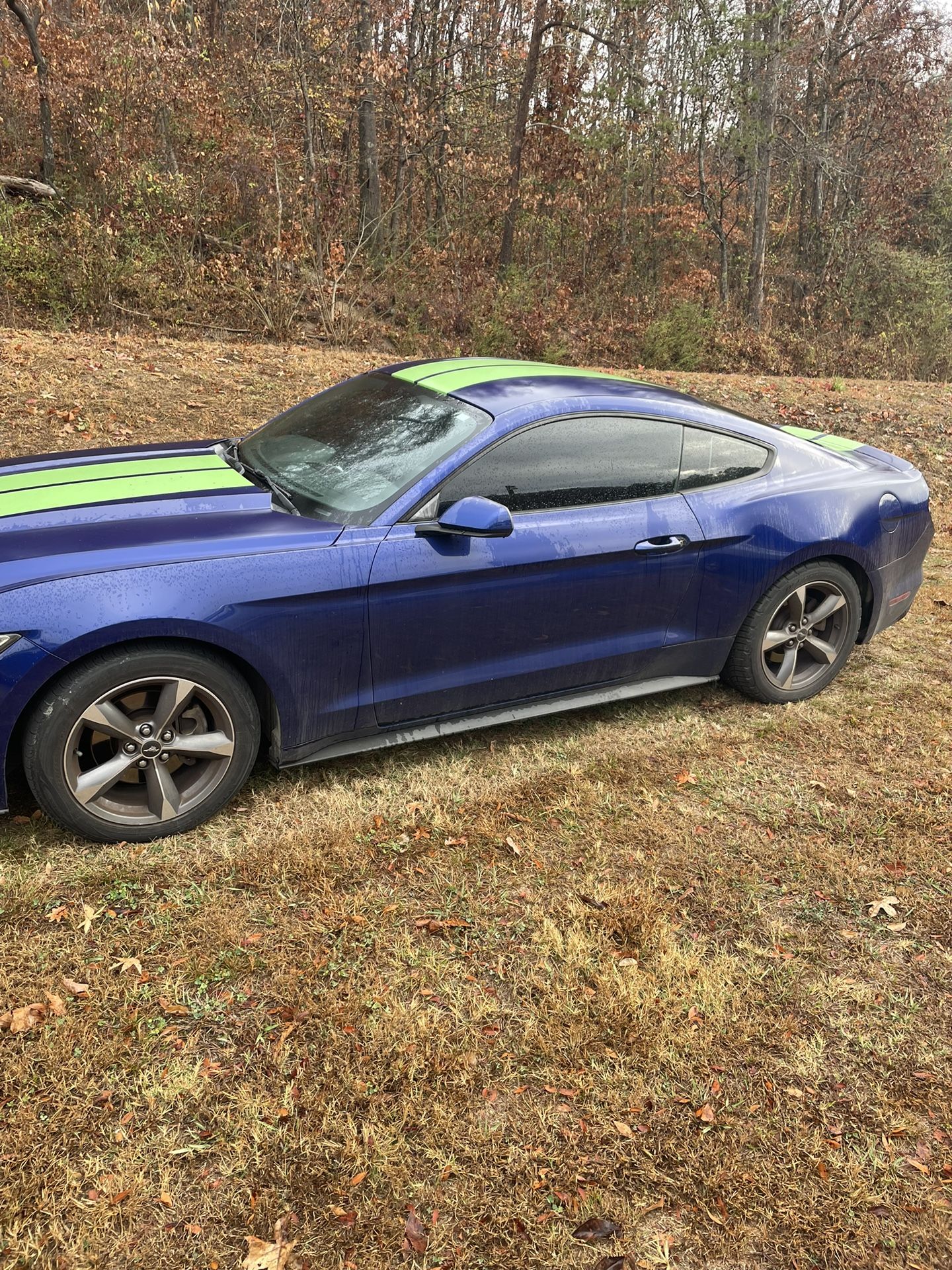 2015 Ford Mustang