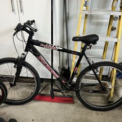 Specialized Mountain Bike