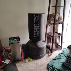 Punching Bag With Water Filled Weighted Bottom