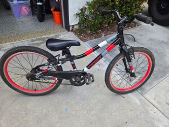 Guardian Bike 20"