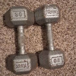 Pesas De 30 Lbs