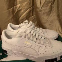 Pumas 
