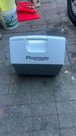 Playmate igloo cooler