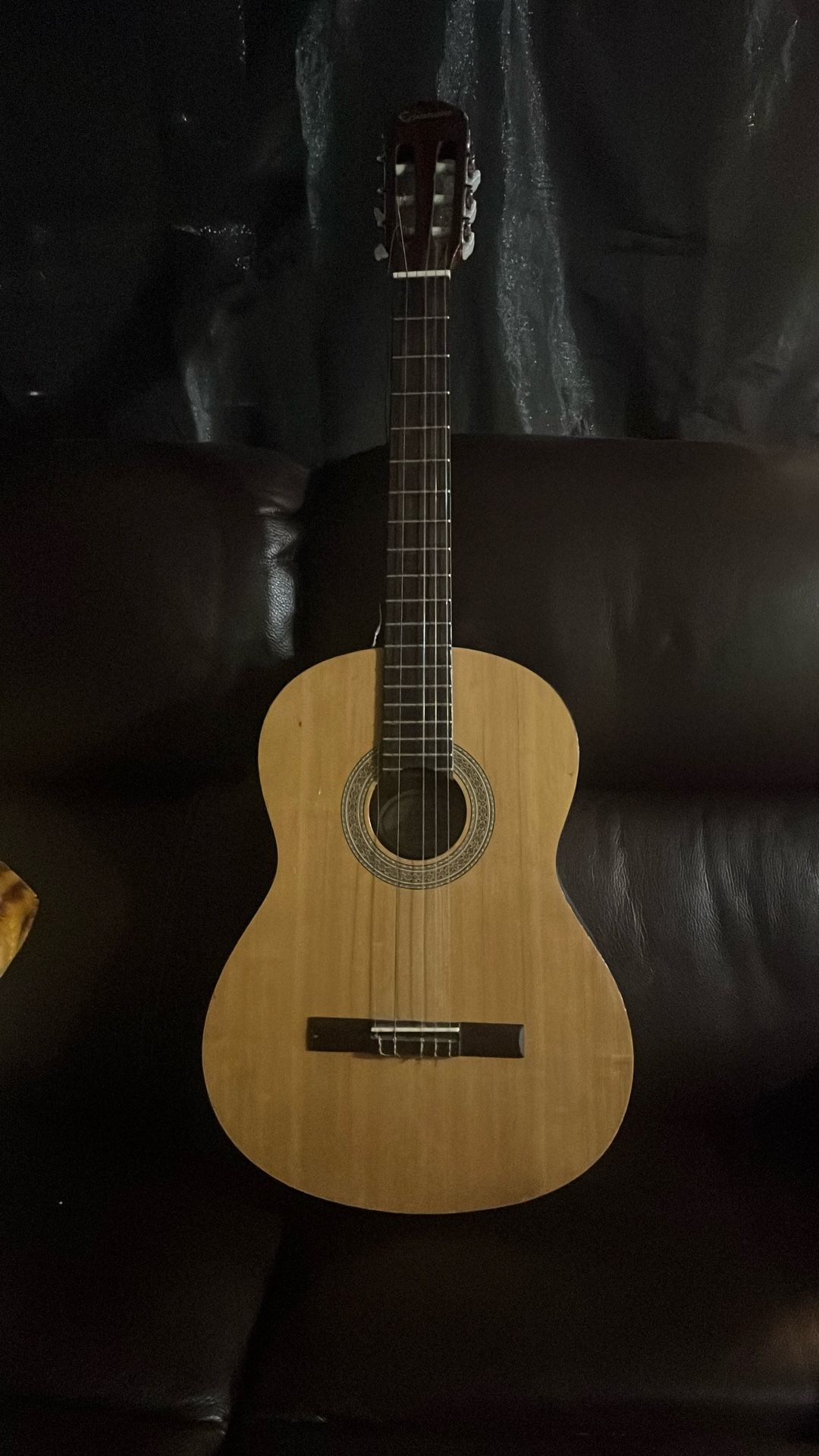 Guitar