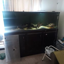 200 Gallon Fish Tank And Stan