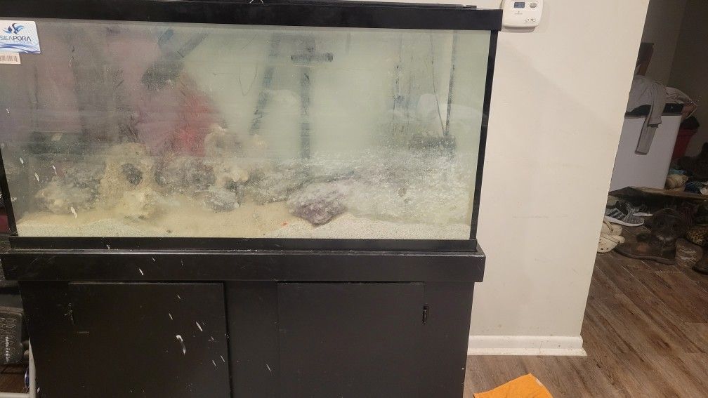 Fish Tank And Equipment