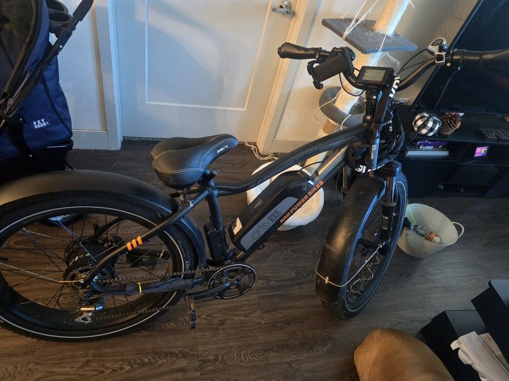 E-bike Rad Power Sports (Rad Rover)
