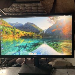 Dell Monitor