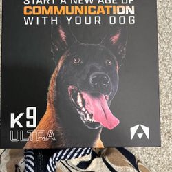 Dog Training Collar