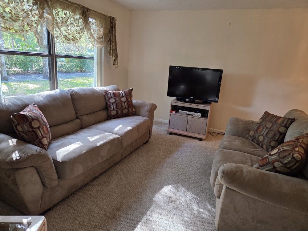 Sofa And Loveseat With Pillows