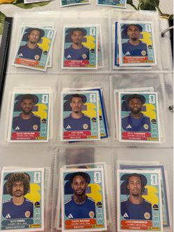 Panini