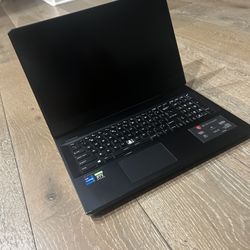 MSI GE76 Raider Laptop
