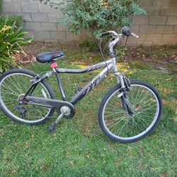 Avalon 26 inch bike!