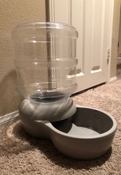 Dog Water Bowl