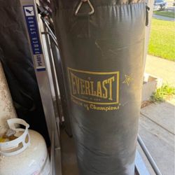 Everlast punching bag ONLY NO STAND