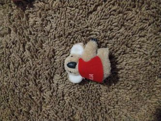 Koala Bear That Holds Pencils, Pens,  Etc.