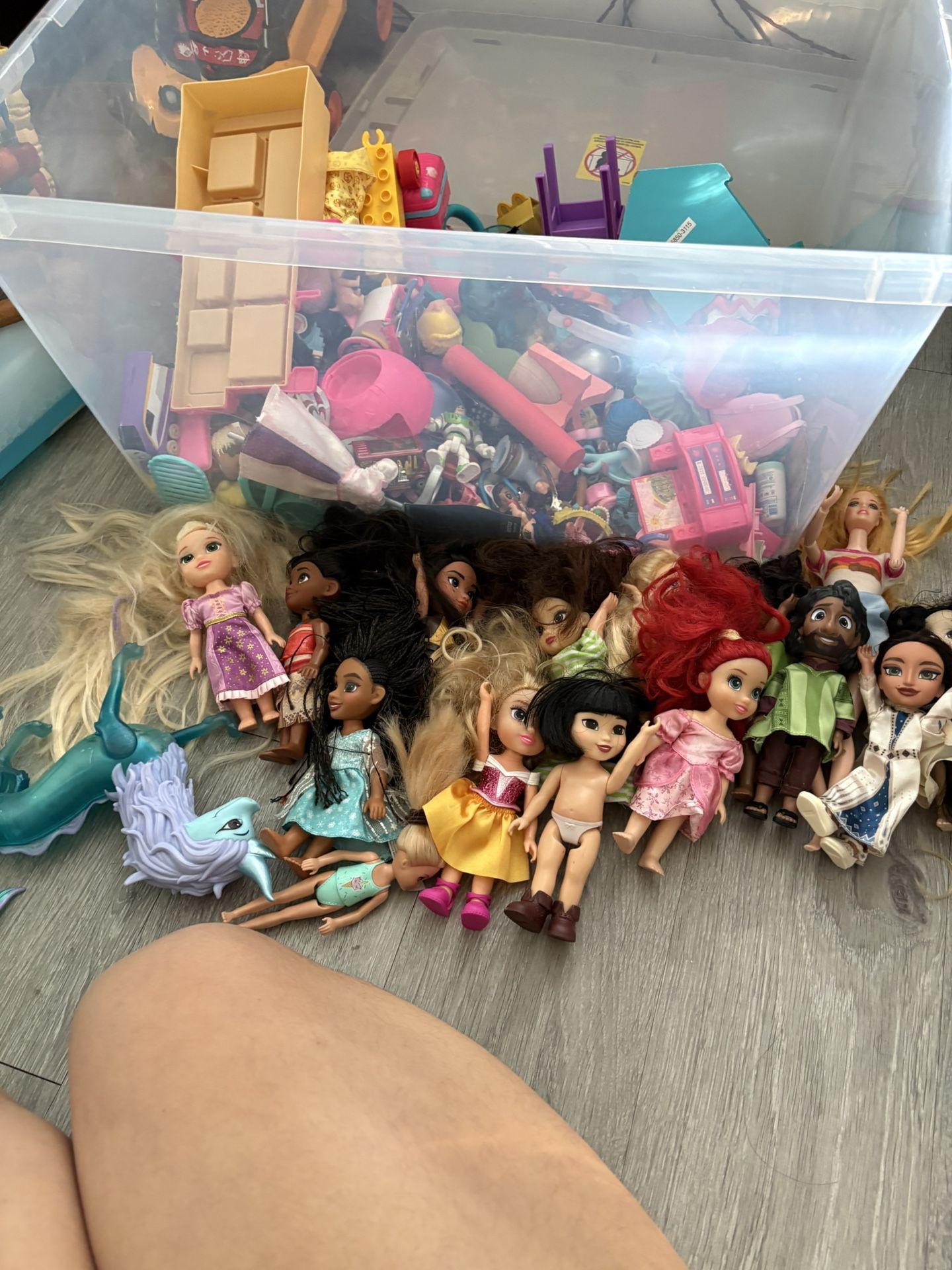 Disney Princess Bundle