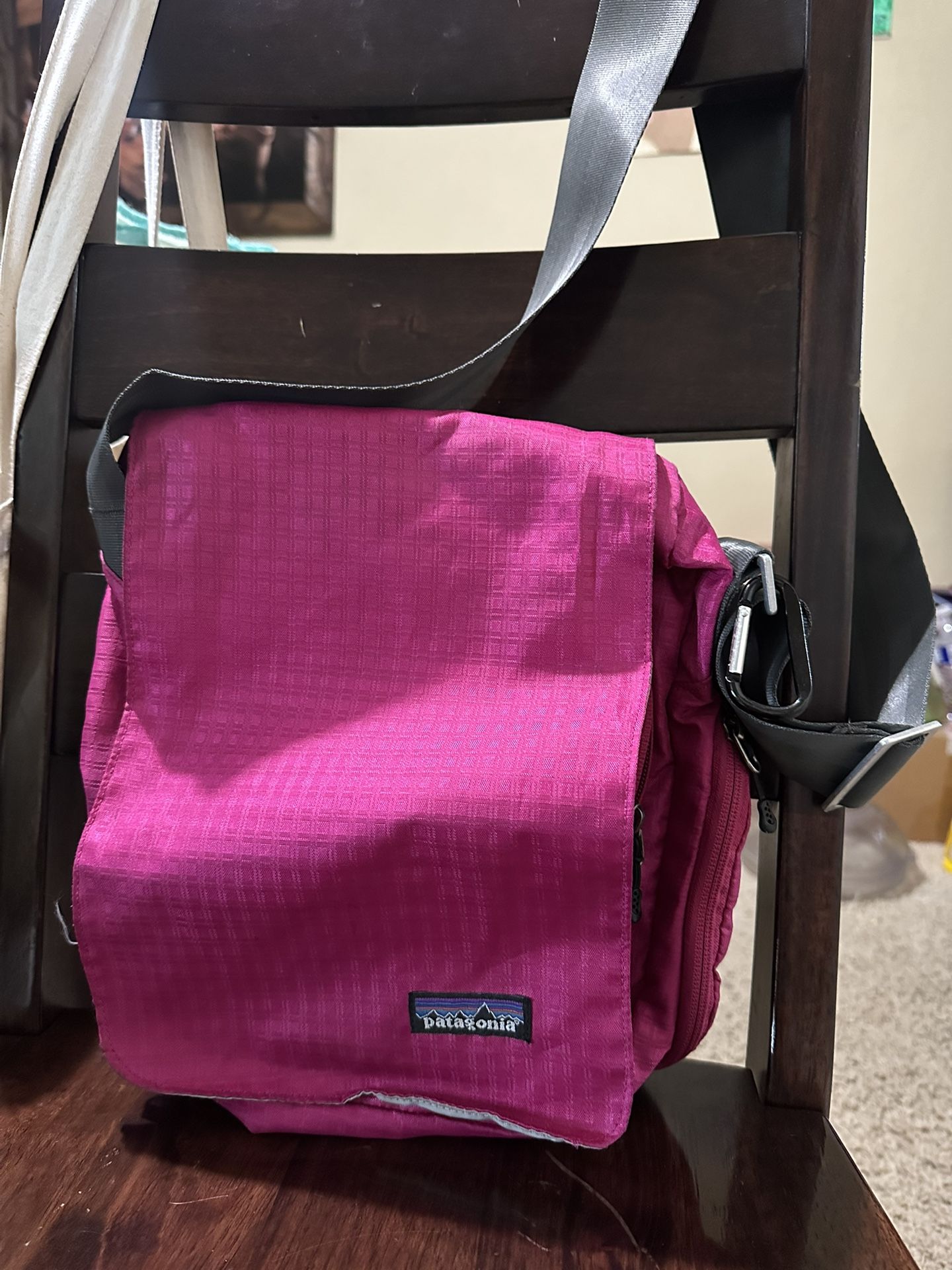 Patagonia Bag