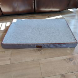 Orthopedic Dog Bed (Medium)