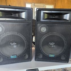 LARGE DIGITAL AUDIO SPEAKERS