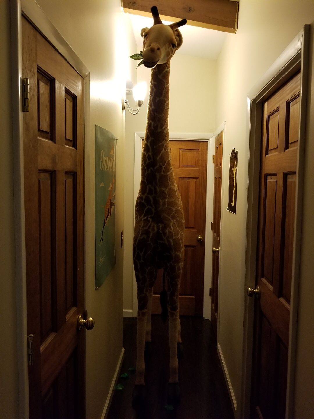 10ft giraffe stuffed animal new arrivals