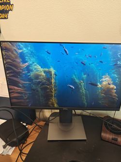 Dell 24" USB-C Monitor (P2419HC)