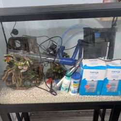 Fish Tank With Stan