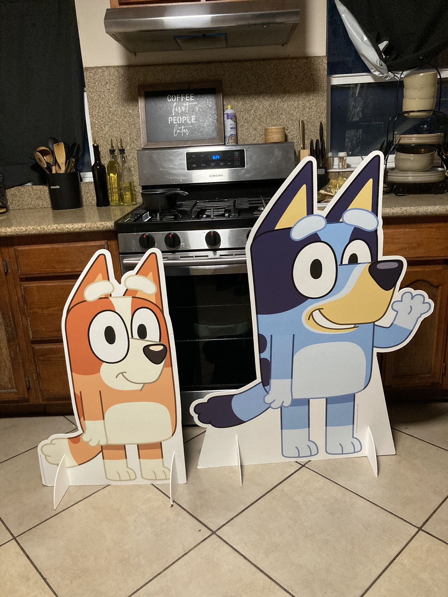 Bluey Display