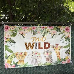 Left Over Party Decor For Safari Birthday 
