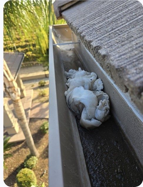 Clean Rain Gutters Like New