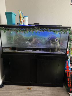 Fish Tank