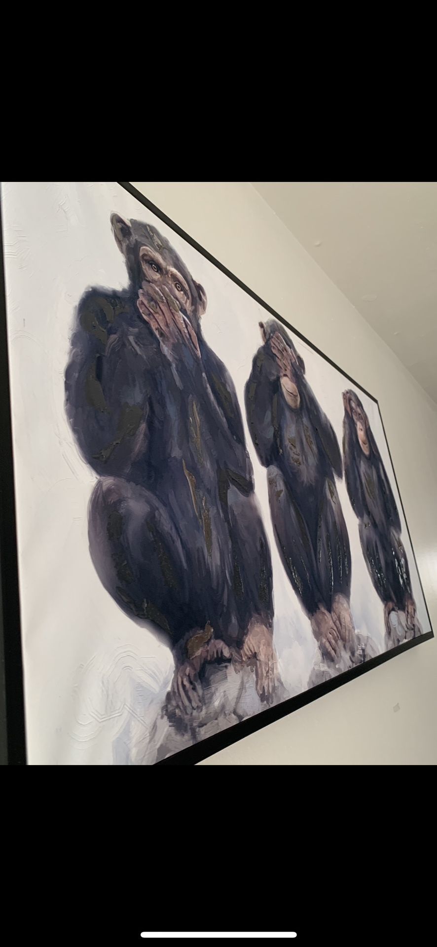 43x23 Appx Three Wise Monkeys See No Evil Hear No Evil Speaks no Evil Reflective Paint