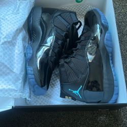 Jordan  11 Retro Gammas 