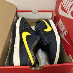 Dunk Lows Size 10.5