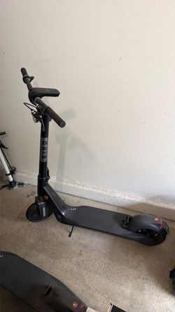 Bird Electric Scooter