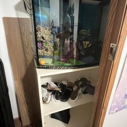 Fish Tank with Cabinet Stand – Stylish & Functional Aquarium Setup