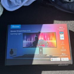 Govee dreamView G1S