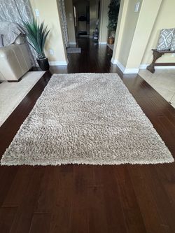 Beige Shag Rug 7’ x 5’4”