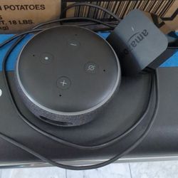 Alexa From Amazon
