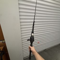 Portable fishing pole