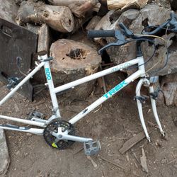 TREK FRAME (Everything Minus Wheels Tires And Cables)/